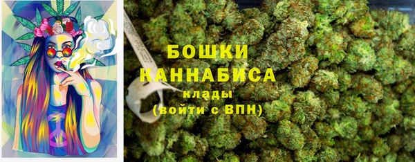 крисы Баксан