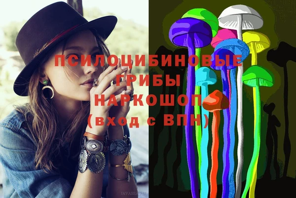 крисы Баксан