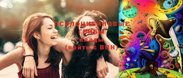 крисы Баксан