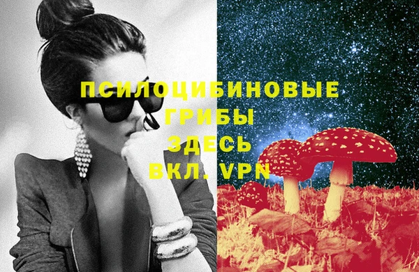 крисы Баксан