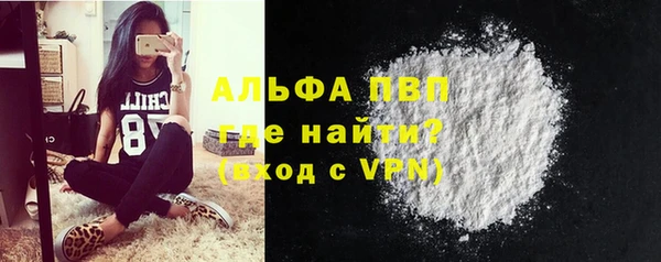 крисы Баксан