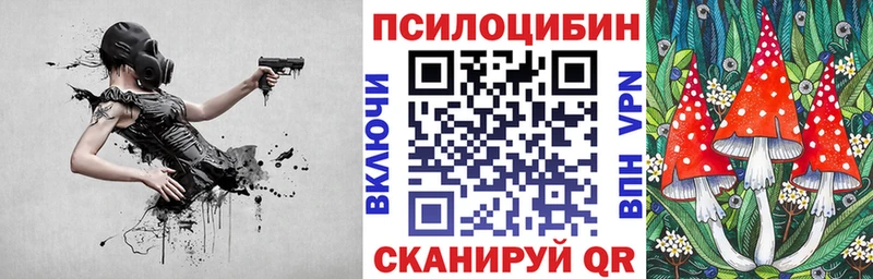 Псилоцибиновые грибы Psilocybine cubensis  KRAKEN ссылка  Всеволожск  сколько стоит 